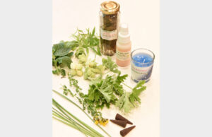 夏のハーブ活用術　おしゃれに虫よけを（茨城）