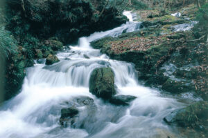 守り継がれる里山の美しさ　薄葉沢の滝群（茨城・常陸太田）
