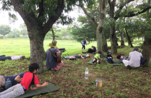 寝転んで聞くコンサート　行方市の森で9月（茨城・行方）