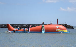 くじらの大ちゃん支援求む 平磯海水浴場(茨城・ひたちなか)