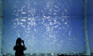 クラゲ1万匹の癒やし空間 アクアワールド大洗(茨城・大洗)