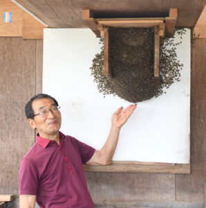 蜜より生態 ミツバチを育てる飛田さん(茨城・ひたちなか)