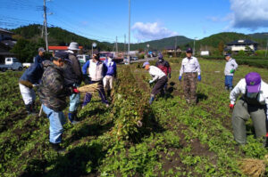 「秋そば」を満喫する体験会　１０月・奥久慈茶の里公園で（茨城・大子）