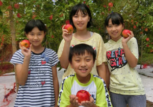 リンゴ狩りがスタート　「黒田りんご園」（茨城・大子）