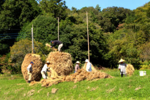 念願のわらぼっち完成　塙の農家（茨城・大子）