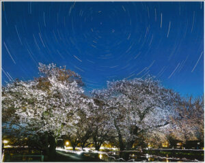 檜山さん「宮の池」写真展　ギャラリーエスパース（茨城・ひたちなか）