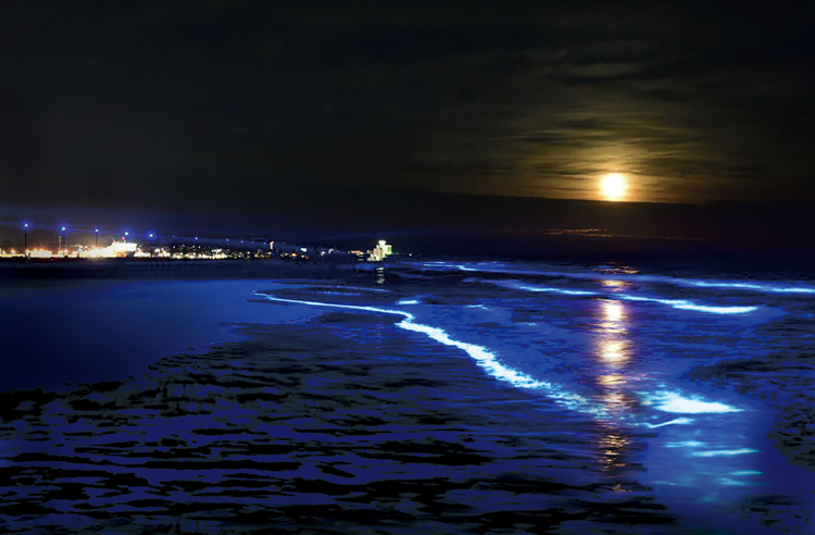 渚のライトアップイベント　サンビーチで２７日まで（茨城・大洗）
