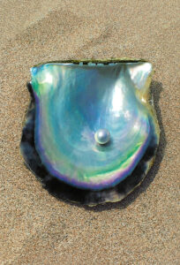 輝きの真珠と春の器展  「横瀬画廊」で２１日〜（茨城・ひたちなか）