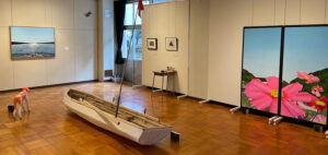 水戸・第一中学校内ギャラリーで 個性派夫婦アートユニット展（茨城・水戸）