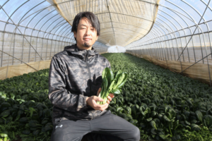 オリジナルブランド  あさひちりめん最盛期