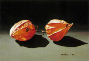 笠間「ノブズギャラリー」  下妻・平井さん静物画展