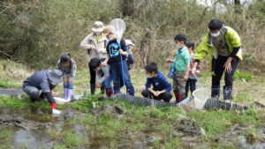 国営ひたち海浜公園でツアー・カエルの卵探そう