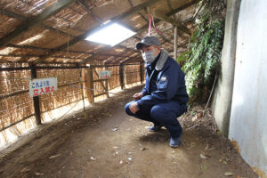 ウミウ捕獲場公開中  場所は海面から１５㍍の断崖（茨城・日立）