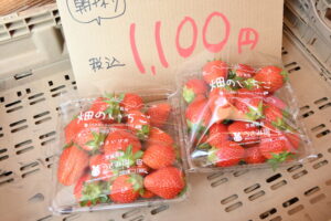 摘みたて「やよいひめ」直売 イチゴ園「うさみ園」(茨城・鉾田市)