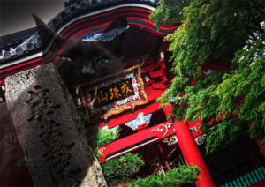 ひたちなか市写真連盟展(茨城・ひたちなか市)