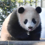 f1af9d25c03f725457353558b6ba45