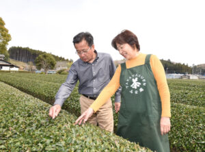茶摘みは、家族の大イベント  茶園・高安園の高安さん夫婦（茨城・城里町）