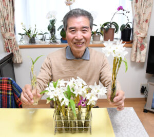 水耕栽培で「らんまん」に  元農業高校教諭 独自ノウハウで洋ラン栽培(茨城・鹿嶋市)