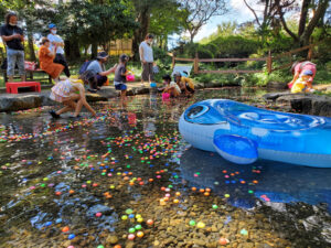 スーパーボールすくい　４月２９、３０日、５月３～７日に「ポケットファームどきどき」で（茨城・茨城町）