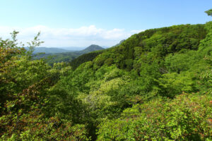 延々と続く緑色の共演 休場展望台(茨城・常陸大宮市)