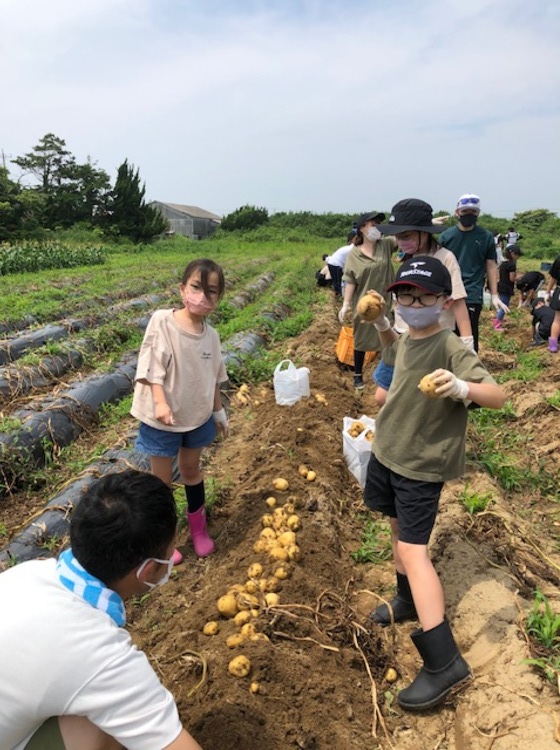 17・18日にジャガイモ大収穫祭　「ウインズベース」（茨城・神栖市）