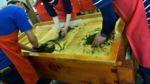 手もみ茶作り体験会 奥久慈茶の里公園(茨城・大子町)