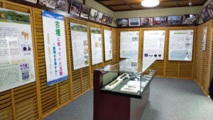 古墳出土品展　ミニ博物館ココシカ（茨城・鹿嶋市）