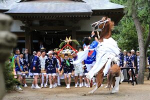 参道でみこしと馬の“活劇” 29・30日に馬出し祭り(茨城・行方市)