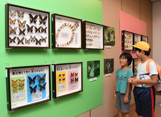 子どもミュージアム 昆虫の不思議　水戸市立博物館で開催中（茨城・水戸市）