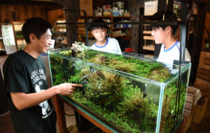 7日に、小さな自然を楽しむマルシェ アクアショップアレンジ(茨城・鹿嶋市)