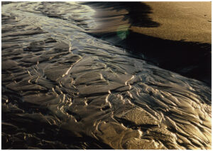 岩野さん「最後の写真展」　31日から若松公民館（茨城・神栖市）