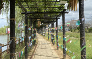 藤棚に短冊と風鈴(茨城・潮来市)