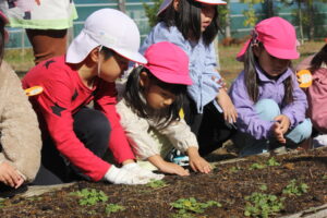 球根植えて春を待つ　夢のひろば須田に児童ら（茨城・神栖市）
