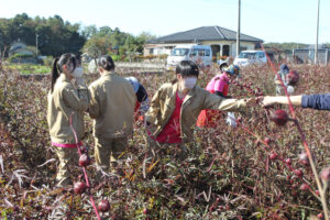 ハーブの商品開発に着手　商工会女性部（茨城・那珂市）