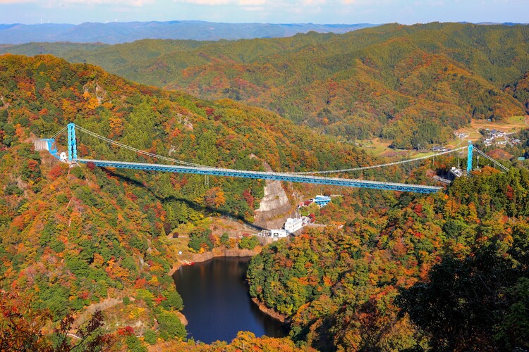 峡谷の紅葉絵巻　見ごろは１１月下旬まで　竜神大吊橋（茨城・常陸太田市）