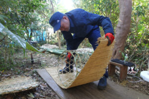 鵜籠づくりも大切な仕事 ウミウ捕獲場の2人(茨城・日立市)