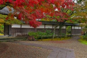 折々に美しいモミジ　見ごろは１１月２３日～１２月初旬　長勝寺（茨城・潮来市）