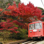 百名山の紅葉は、楽しみ多彩　見ごろは１２月上旬まで　筑波山　（茨城・つくば市）