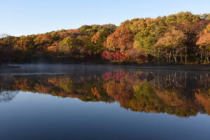 水面に映る錦の世界 見ごろは11月下旬まで 北山公園(茨城・笠間市)
