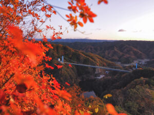 恒例「竜神峡紅葉まつり」　竜神大吊橋で（茨城・常陸太田市）