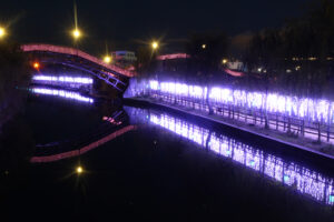 水辺イルミネーション あやめ園ほか (茨城・潮来市)