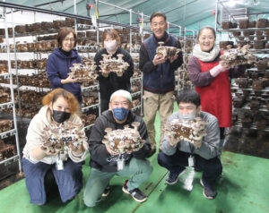 期待乗せて神栖シイタケ アグリ・ニュー・ウインズが栽培(茨城・神栖市)