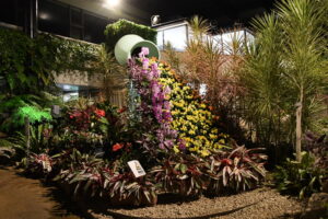 夜に開催「ウインターガーデン」 市植物公園で1月の土日(茨城・水戸市)