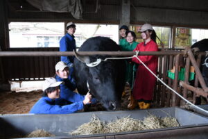 育てた２頭「甲子園」へ　水戸農業高校（那珂）（茨城・那珂市）