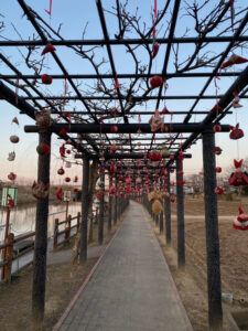 水郷いたこ雛巡り 3日まで 水郷潮来あやめ園ほか(茨城・潮来市)