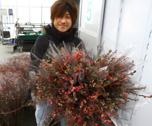 今年はハナモモ16万束を出荷 JA常陸奥久慈枝物部会の出荷施設(茨城・常陸大宮市)