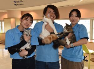 カピバラにタッチ!? 旧霞ケ浦ふれあいランドの期間限定施設の「もふもふアニマルパーク+ネコパーク」(茨城・行方市)