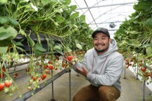 新たな観光イチゴ園　「イチゴ・ハウス・ヒタチナカ」（茨城・ひたちなか市）