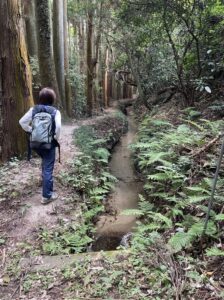 5月に十石堀ガイドツアー　“遺産”登録５周年記念（茨城・北茨城市）