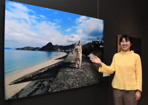 岩合さんの「ねこづくし」展　笠間日動美術館～３１日に岩合さん講演会（茨城・笠間市）